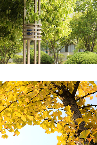 安徽國際商務職業(yè)學院