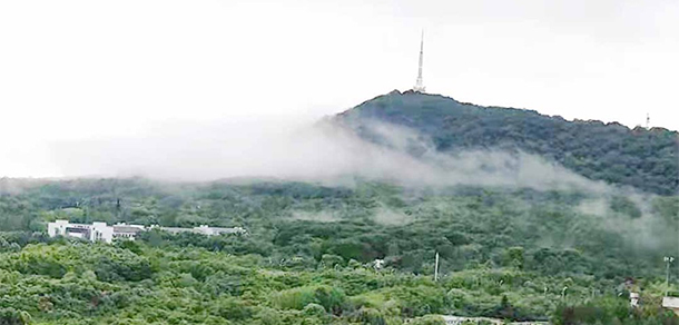 安徽林業(yè)職業(yè)技術學院