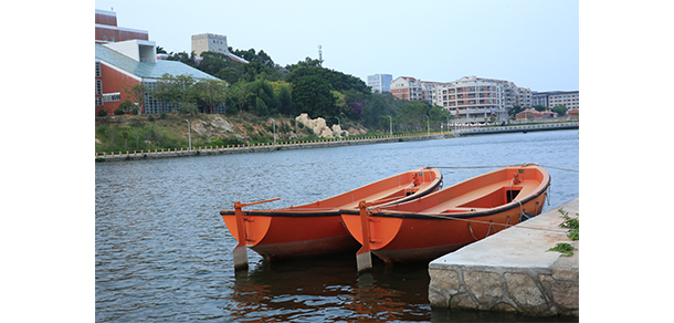 我的大學(xué)-大學(xué)志