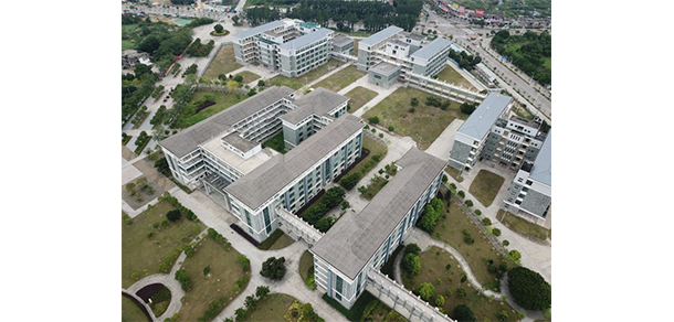 我的大學(xué)-大學(xué)志