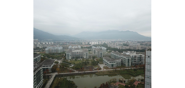 我的大學(xué)-大學(xué)志
