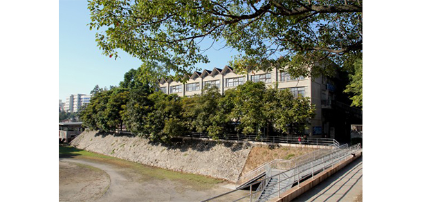 福建幼兒師范高等?？茖W(xué)校 - 最美大學(xué)