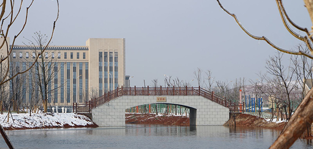 我的大學(xué)-大學(xué)志