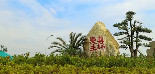 我的大學(xué)-大學(xué)志