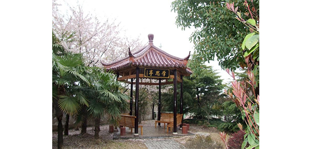 我的大學(xué)-大學(xué)志