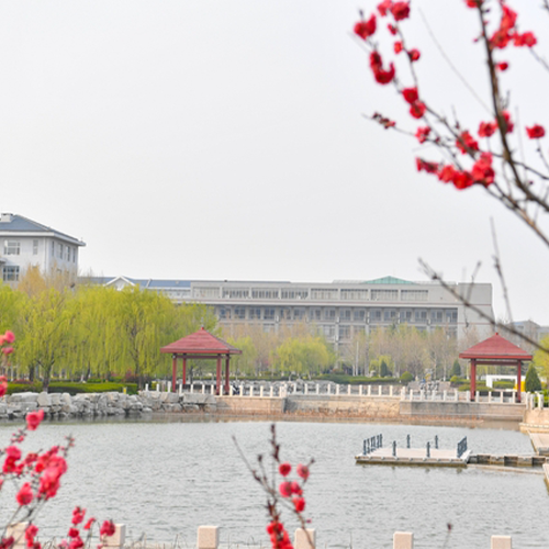 最美大學(xué)