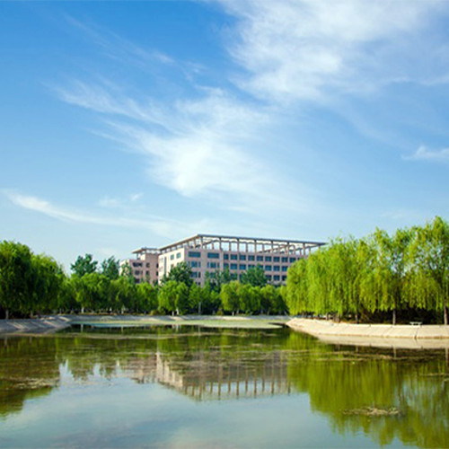 大學文化