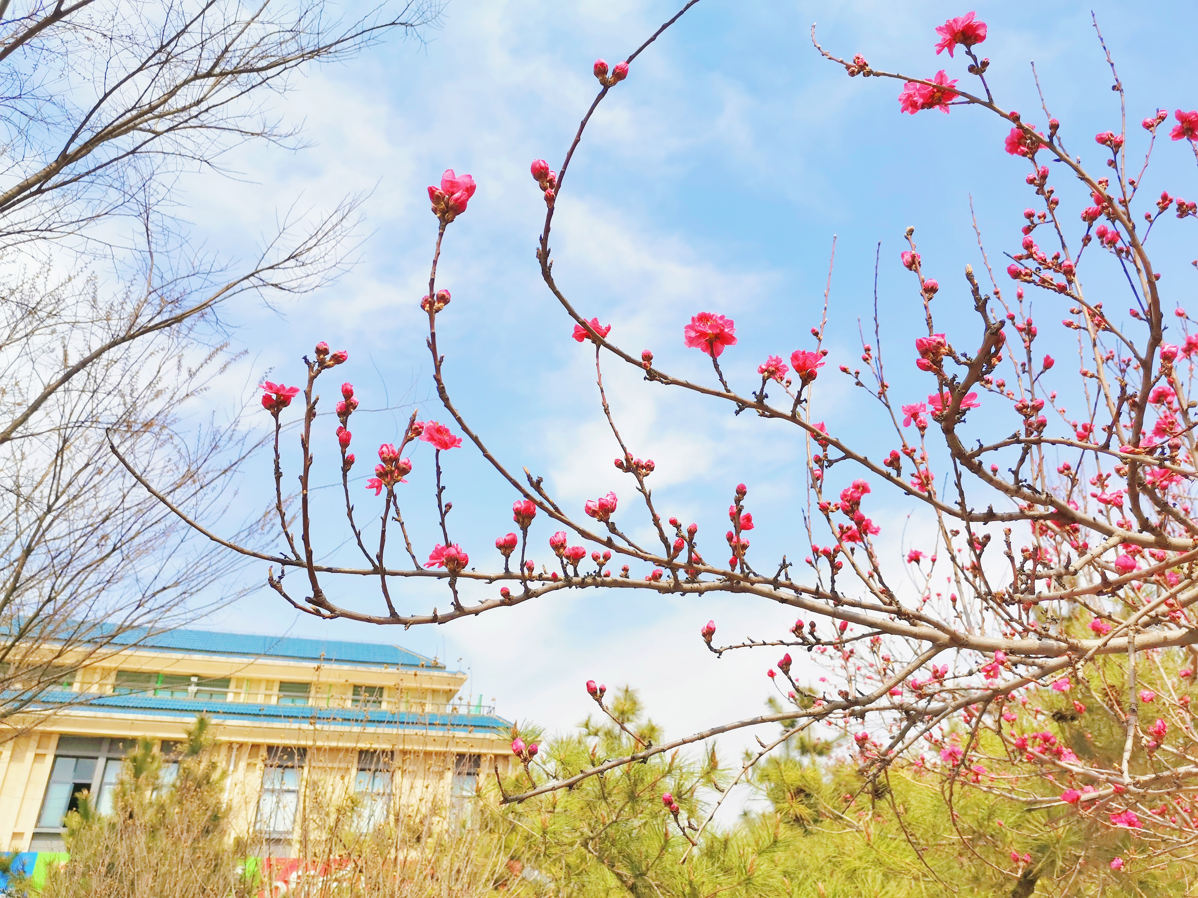 臨沂大學 我的大學