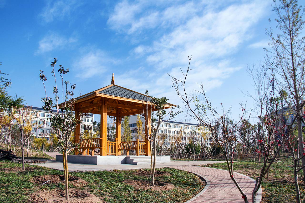 齊魯醫(yī)藥學院 我的大學
