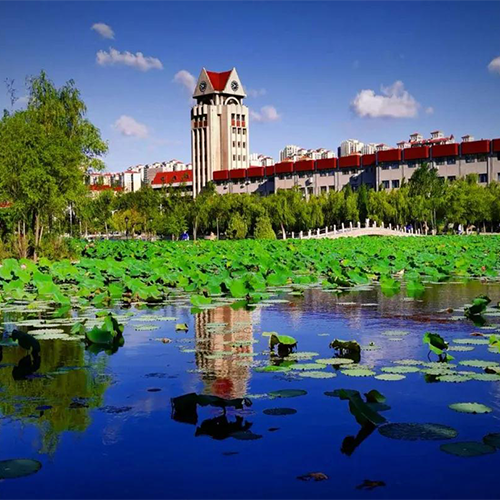 煙臺大學-大學文化