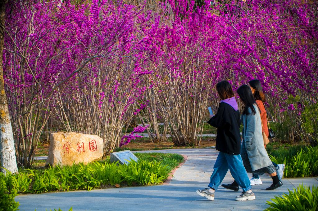 煙臺大學(xué) - 院校概況