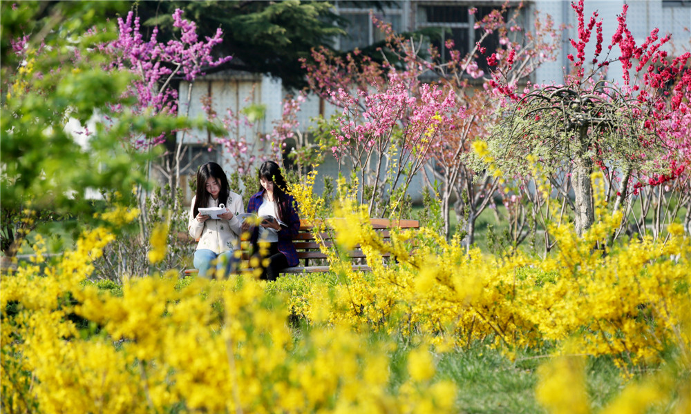山東工商學院 校園文化