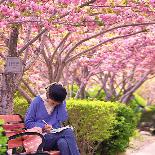 大學簡介