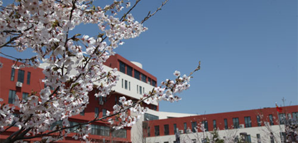 我的大學-大學志