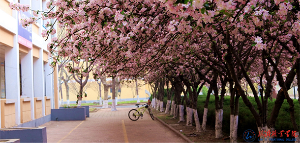 我的大學(xué)-大學(xué)志