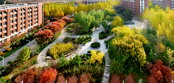 我的大學-大學志