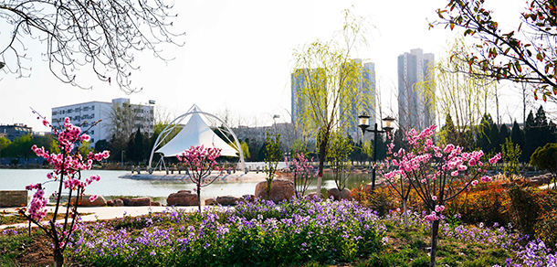 我的大學(xué)-大學(xué)志