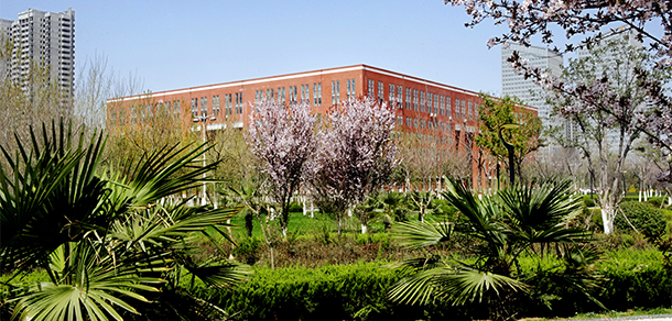我的大學(xué)-大學(xué)志
