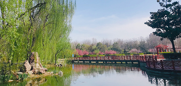 我的大學(xué)-大學(xué)志