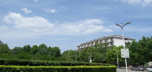 我的大學(xué)-大學(xué)志