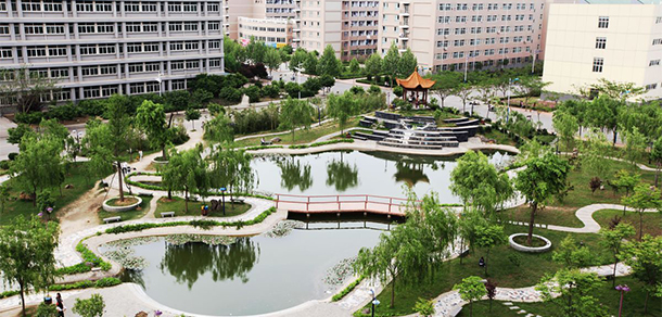 我的大學(xué)-大學(xué)志