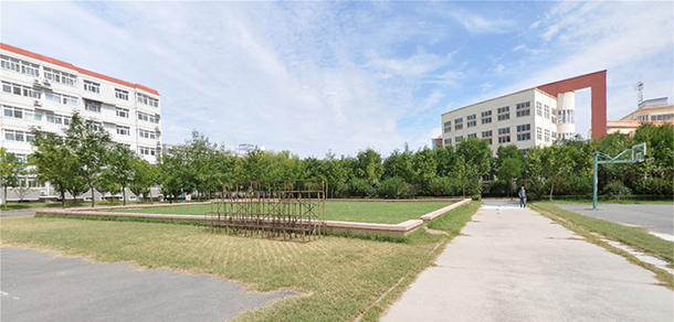 我的大學(xué)-大學(xué)志