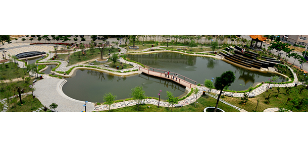 我的大學(xué)-大學(xué)志