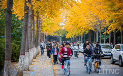 招生公告 · 招生簡(jiǎn)章 · 招生計(jì)劃