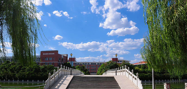 我的大學(xué)-大學(xué)志