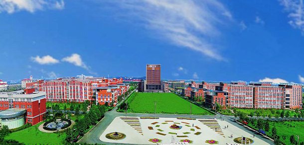 我的大學(xué)-大學(xué)志