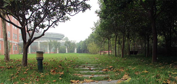 我的大學(xué)-大學(xué)志