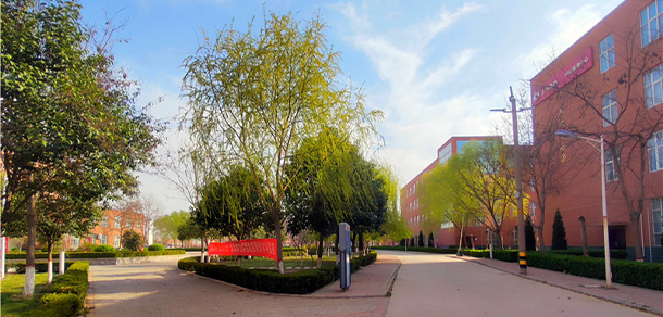 我的大學(xué)-大學(xué)志