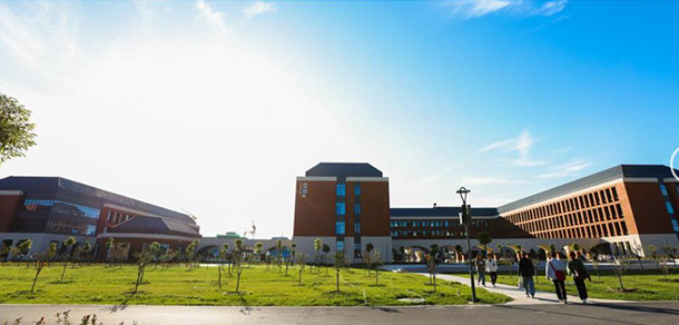我的大學(xué)-大學(xué)志