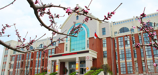 我的大學-大學志