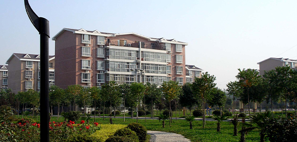 我的大學-大學志