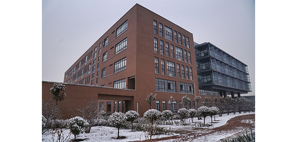 我的大學-大學志