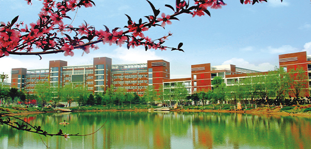 我的大學(xué)-大學(xué)志