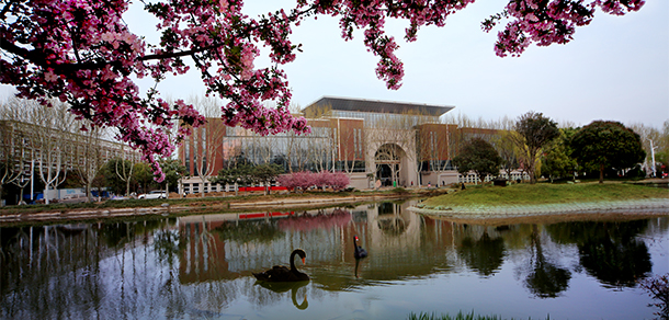 我的大學(xué)-大學(xué)志