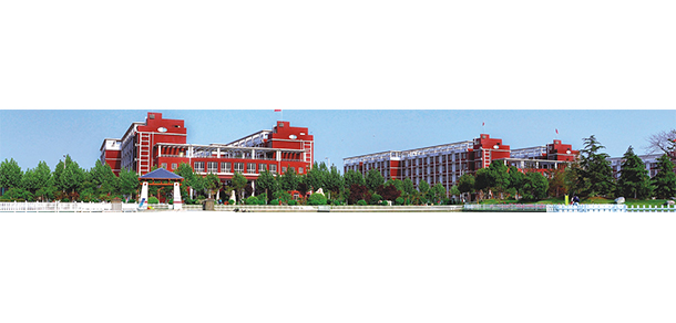 我的大學(xué)-大學(xué)志