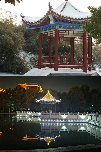 歲月流金 · 青春不散場(chǎng)