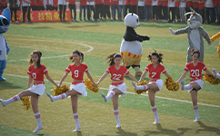 招生公告 · 招生簡(jiǎn)章 · 招生計(jì)劃