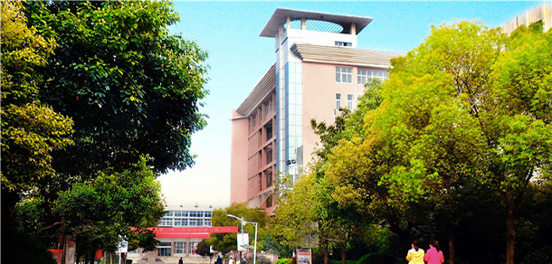 我的大學(xué)-大學(xué)志