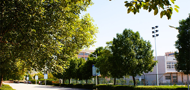 我的大學(xué)-大學(xué)志