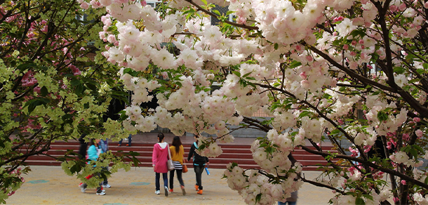 我的大學(xué)-大學(xué)志