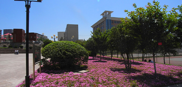 我的大學(xué)-大學(xué)志