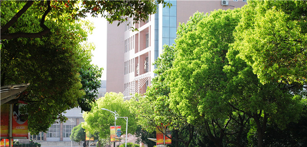 我的大學(xué)-大學(xué)志