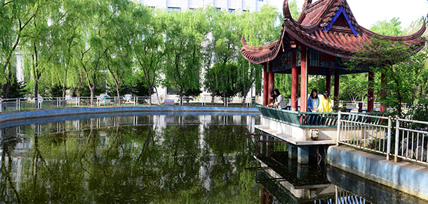我的大學(xué)-大學(xué)志