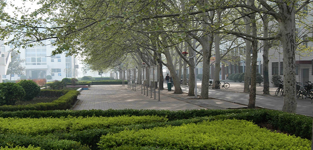 我的大學(xué)-大學(xué)志