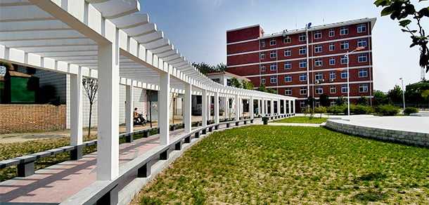 我的大學(xué)-大學(xué)志