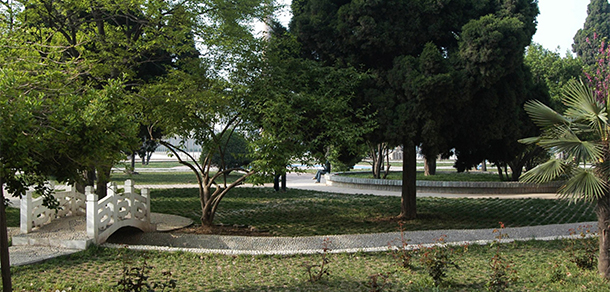 我的大學(xué)-大學(xué)志